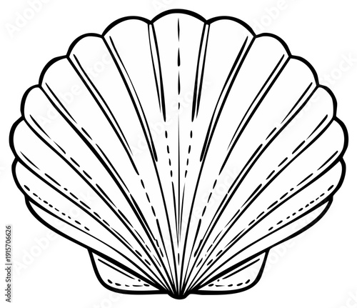 Scallop seashell line art drawing, a simple black and white vector illustration of a marine mollusk