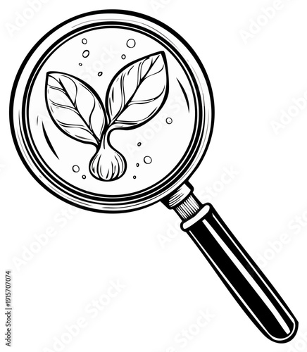 Magnifying glass examining a young plant sprout growing from a bulb, a concept for science and botany research
