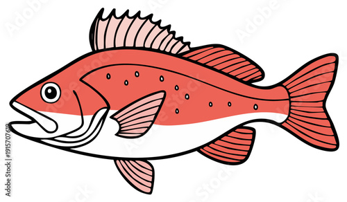 Cartoon illustration of a colorful fish isolated