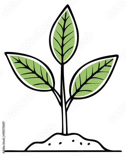 Simple illustration of a three-leaf green plant growing from the soil, symbolizing growth and nature.