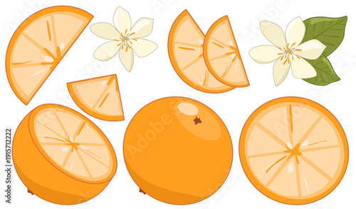 Fresh Orange Fruit, slice,  and Blossom Elements Set