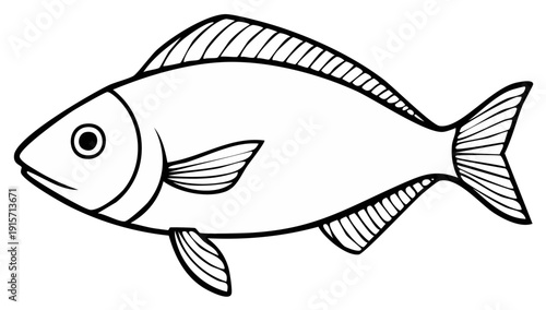 Outlined illustration of a fish aquatic animal species profile view