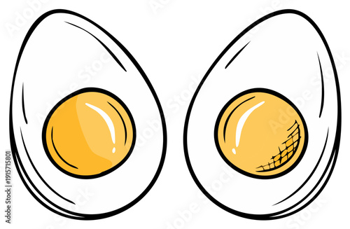 Two halves of a hard boiled egg with a yellow yolk inside. Fresh food for breakfast.