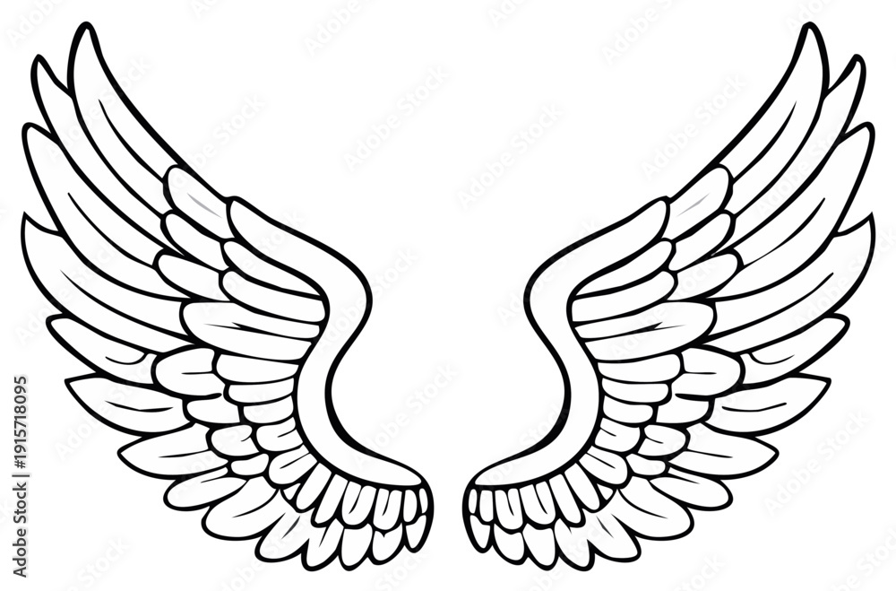 Obraz premium Line Art Illustration of Angel Wings or Bird Wings with Detailed Feathering