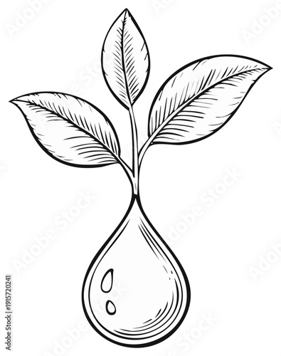 Line drawing of a plant sprout emerging from a water droplet new life concept