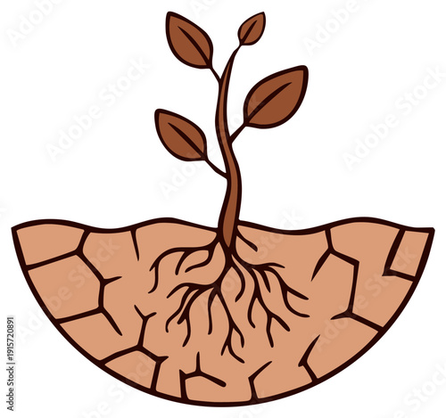 Stylized plant with visible roots growing in cracked dry earth depicting drought conditions