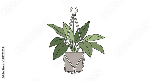 A broad-leafed plant is placed inside a grey pot, suspended by a simple white macrame hanging planter.