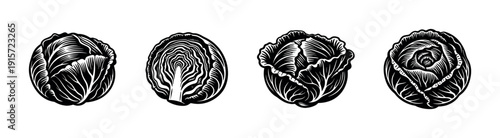 Flat vector illustrations of cabbage variations. hand-drawn vegetable icons set