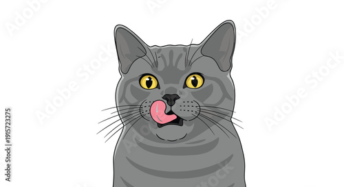 A close-up of a grey cat with yellow eyes is captured mid-lick, with its tongue out and visible, on a white background.