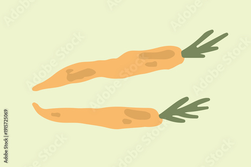 Art & Illustration Flat Vector Carrot and Zucchini Illustration Fresh Organic Vegetables Design