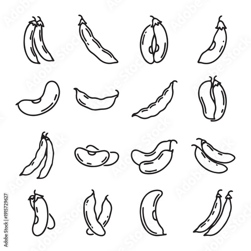 Assorted Bean Pods and Seeds Line Art Collection: Various Types of Legumes