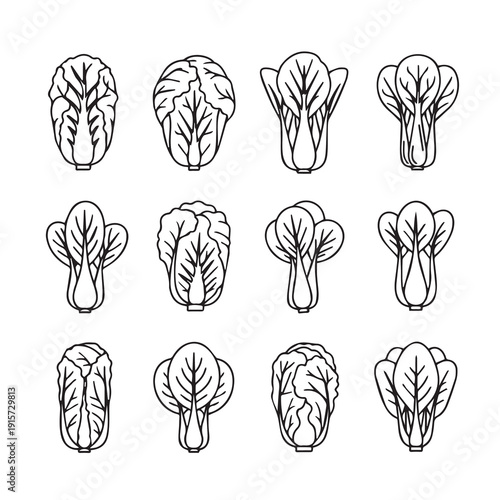 Assortment of Leafy Green Vegetable Illustrations Isolated on White Background