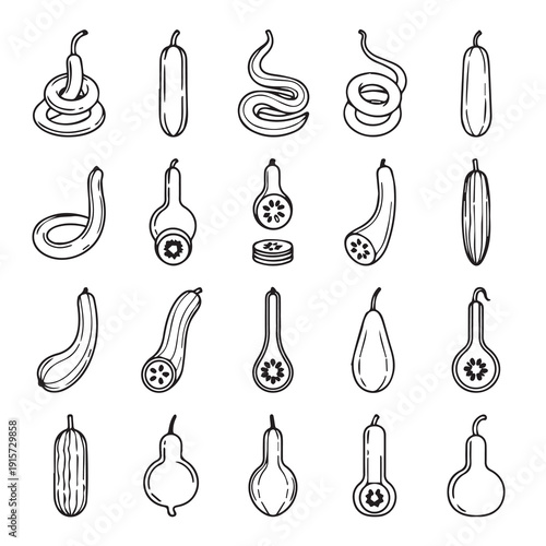 Assorted Vegetable Outline Icons: Cucumbers Squash Gourds Zucchini Hand-Drawn Style