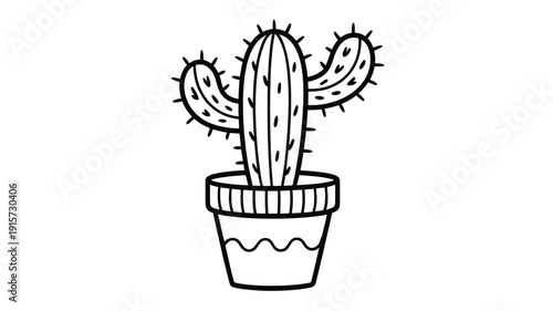 Stunning potted cactus in modern decorative planter