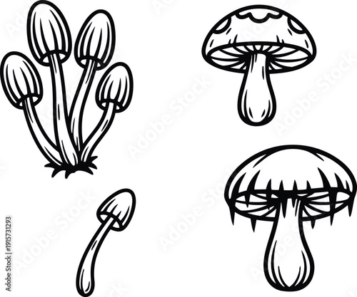 Line art close up mushroom cluster and individual caps ink illustration vector set hand drawn botanical style minimal outline simple