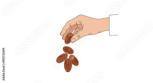 A hand dropping several brown dates from its grasp onto a clean white background.