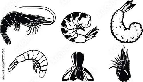 Line art shrimp set showing multiple views peeled tail on shrimp breaded shrimp silhouette close up vector illustration for packaging
