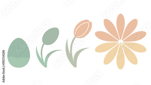 The life cycle of a flower and egg illustrated.