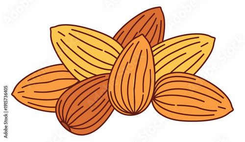 Hand drawn line art illustration of shelled almonds depicting a small pile for healthy eating and cooking