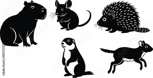 Silhouette vector flat design lineup of small mammals showing capybara mouse hedgehog prairie dog and jerboa in black simple profile