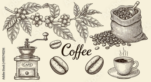 A detailed illustration of coffee elements including beans, a grinder, and a cup from a direct viewpoint.