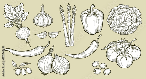 Assorted vegetables including onions, garlic, and peppers illustrated in a detailed line drawing on a simple background from a direct viewpoint