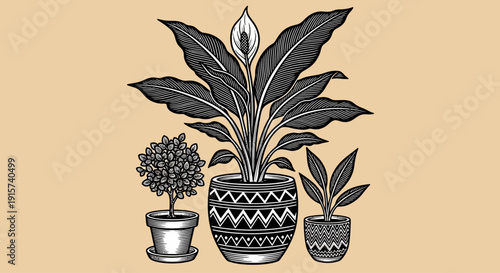 Illustration of various plants in decorative pots displayed together indoors with simple background