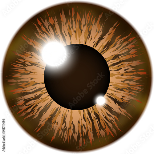 Brown retina eye. Chestnut eyeball color icon