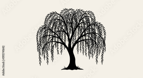 A serene willow tree stands alone in a quiet landscape viewed from the front