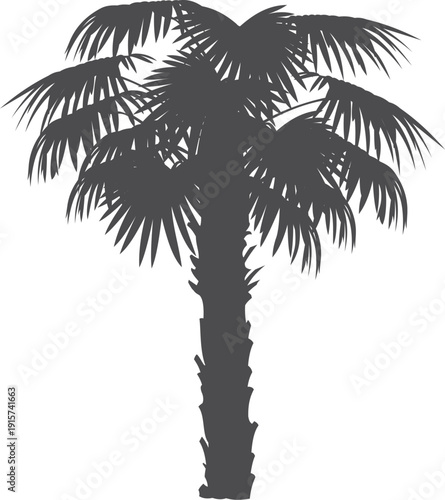 Jungle botany black icon. Exotic coconut tree