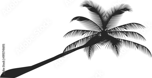 Coconut palm black icon. Tropical beach tree