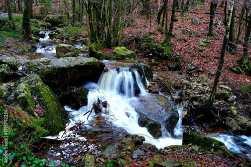 Wandern in den Ardennen - Belgien am Ninglinspo und der Ambleve - Unterwegs auf ursprünglichen Pfaden und Tälern