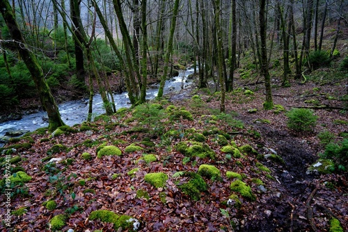 Wandern in den Ardennen - Belgien am Ninglinspo und der Ambleve - Unterwegs auf ursprünglichen Pfaden und Tälern