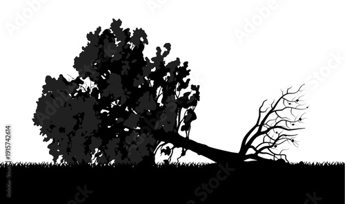 Black silhouette of an uprooted and fallen tree with a dense crown lying on the grass isolated on a white background.  Vector illustration
