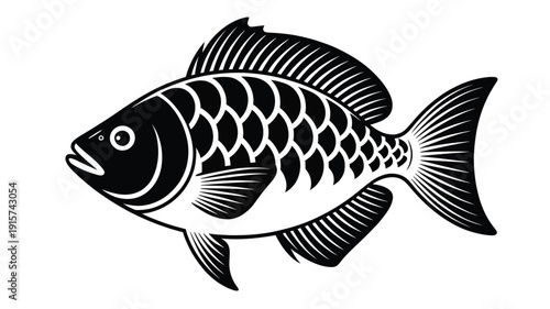 Black and white fish vector illustration