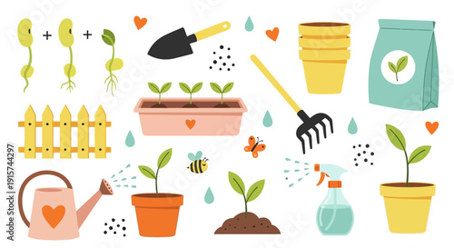 Gardening Essentials and Seedlings in Pots and Planters with Tools and Accessories