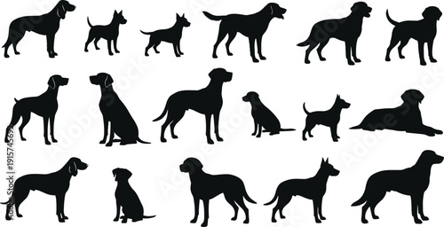 Dog silhouette collection, domestic pet breeds set, standing sitting lying canine poses, animal vector illustration isolated bundle