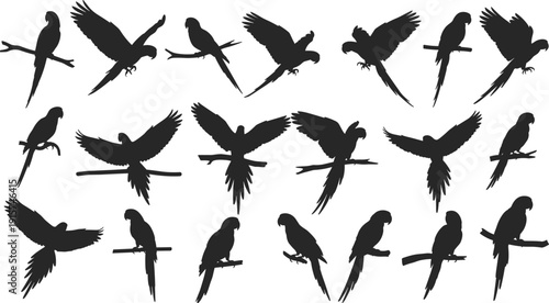 Parrot silhouette collection, flying and perched tropical birds, macaw cockatoo parakeet poses, exotic wildlife vector illustration set bundle isolated black