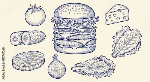 A detailed illustration of a burger and its ingredients from a direct viewpoint