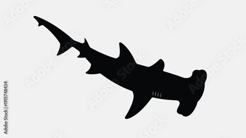 Black hammerhead shark silhouette on white background
