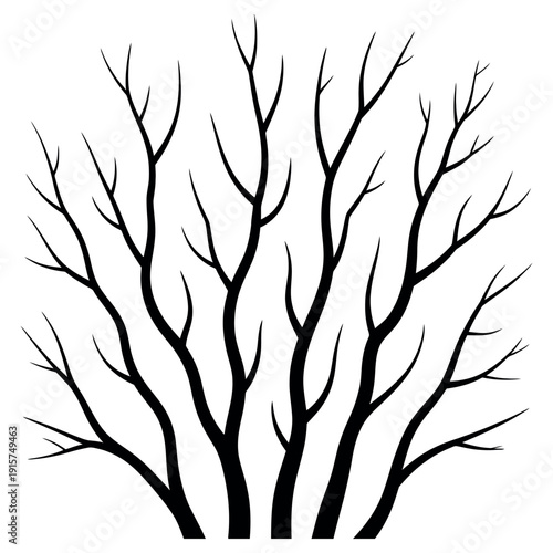 A minimalist illustration of bare tree branches against a white background