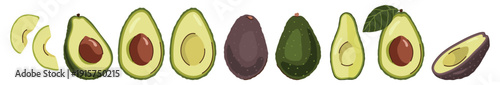 Set of fresh avocados with slices, halves, seed and leaves. Vector fruit collection isolated on white. Healthy food illustration, organic natural concept, perfect for stickers, cards, scrapbooking