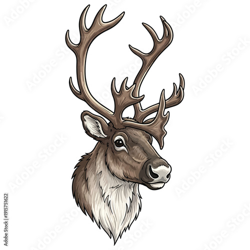 Detailed illustration of a majestic reindeer with large antlers