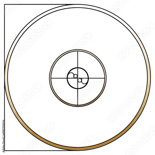 Concentric circles with crosshairs and a shaded outer ring illustration