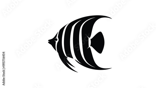 Elegant black and white fish illustration with bold stripes