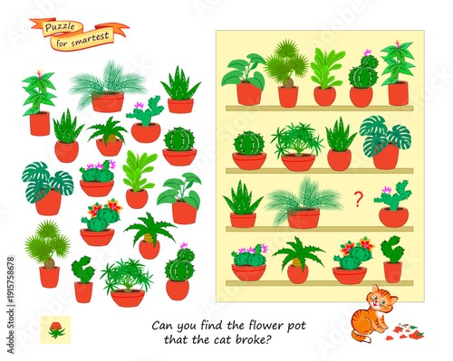 Can you find the flower pot that the cat broke? Logic puzzle for children and adults. Find and search game. Page for kids brain teaser book. Task for attentiveness. Hand drawn vector illustration.