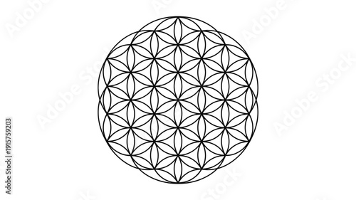 Intricate flower of life pattern in black lines on white background