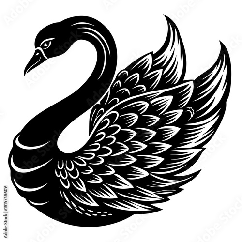 Black swan with elaborate feathers swimming in the water on a bright sunny day in a park Generative AI