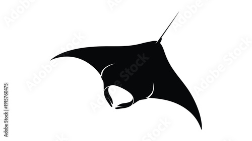 Majestic black manta ray swimming in ocean depths