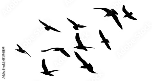 Group of 10 Flying Bird Silhouettes. Simple Black Bird Flock Illustration for Clean Minimalist Graphics.